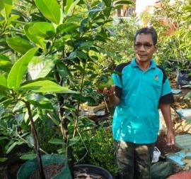 Fenomena Kemarau Basah yang Kini Melanda Sebagian Besar Wilayah Indonesia